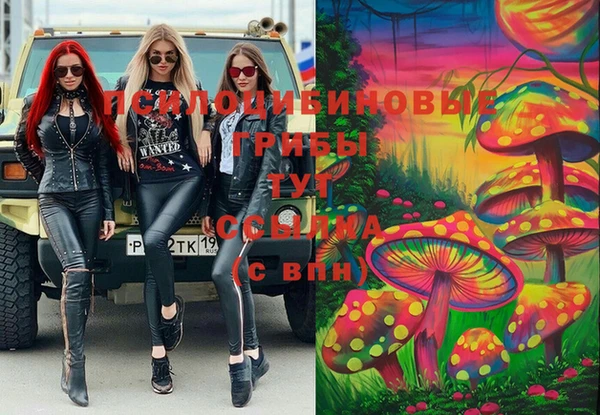 дурь Алексин