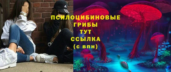 стафф Алексеевка