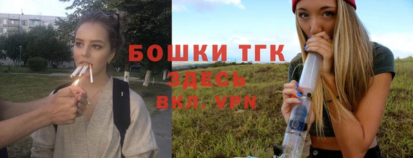 дурь Алексин