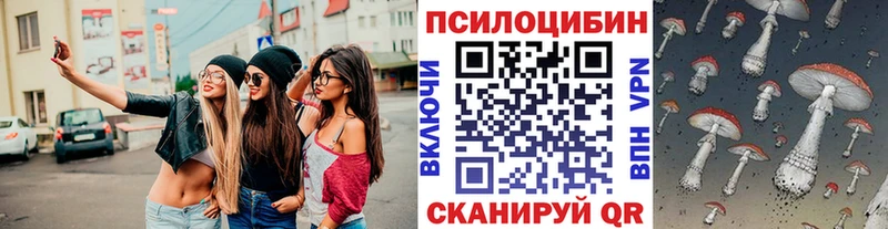 Галлюциногенные грибы мицелий  купить наркоту  Цимлянск 